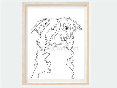 Border Collie Line Art