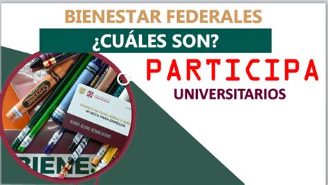 Becas Federales Para Universitario Qu Son Y C Mo Se Pueden Obtener