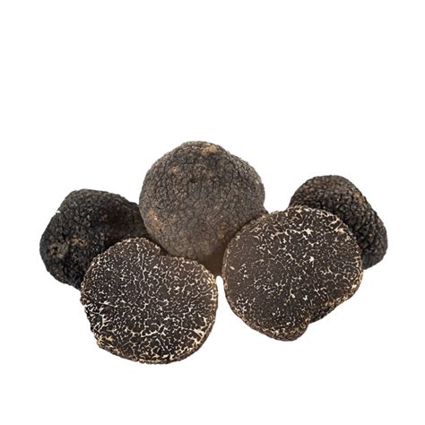 Tartufo Nero Pregiato Tuber Melanosporum Vittadini