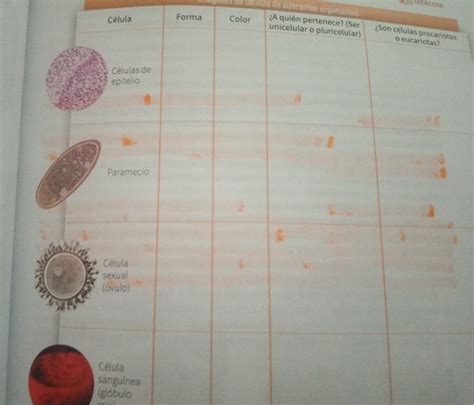 P Gina Del Libro Naturaleza Y Sociedad Ciencias Biolog A