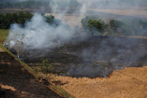 Indonesian Agency Says It Expects Rainy Season To Help End Forest Fires Soon The Straits Times