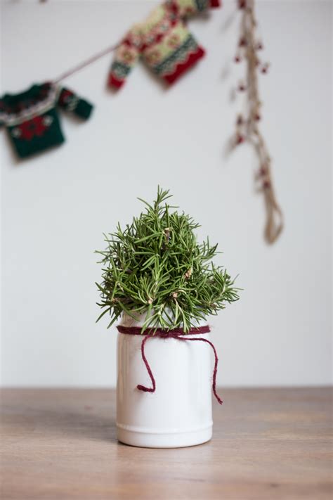 rosemary-christmas-tree-diy-5 - Live Free Creative Co