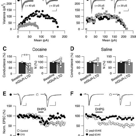 Mglur Ltd Is Expressed By Fast Protein Synthesis In Response To The