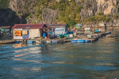 Floating Fishing Village In The Ha Long Bay Cat Ba Island Vietnam