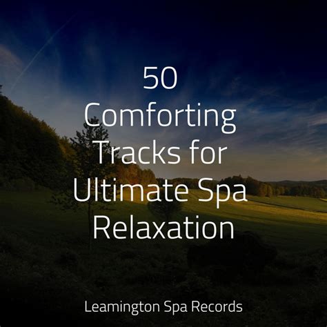 Comforting Tracks For Ultimate Spa Relaxation Album By Loopable