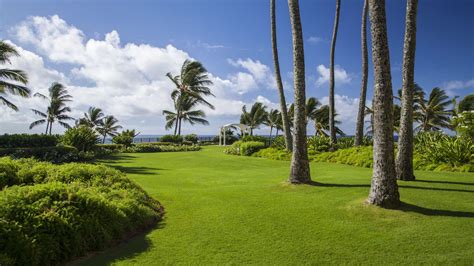 Kauai Wedding Venues & Packages | Grand Hyatt Kauai