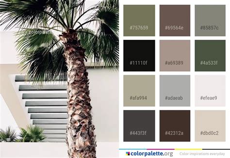 Palm Tree Color Chart