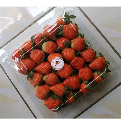 Jual Strawberry Asli Ciwidey Khusus Instan Shopee Indonesia