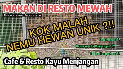 Cafe Resto Kayu Menjangan Cafe Cozy Dan Mewah Yang Banyak Hewannya