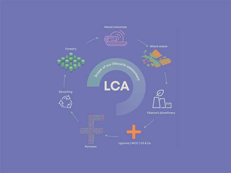 Life Cycle Assessment Lca Sweetwoods