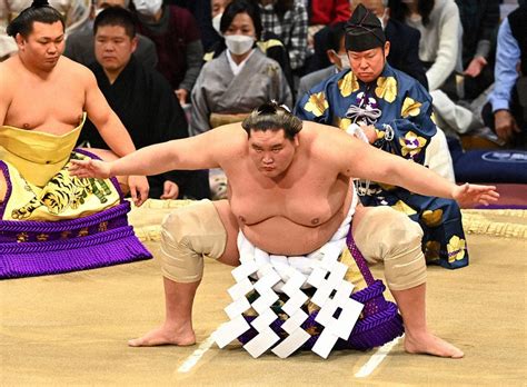 スポーツ推し！：大相撲 横綱・照ノ富士関 毎日新聞