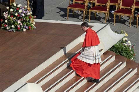 Papa Francisco criou cardeal D Américo Aguiar Semanário da Diocese