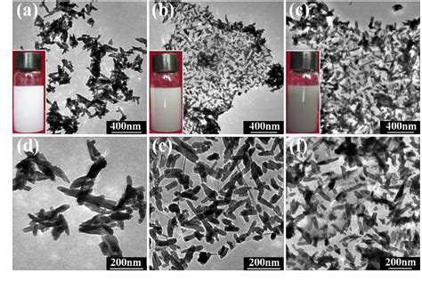 Figure 4 From Graphene Oxidehydroxyapatite Composite Coatings