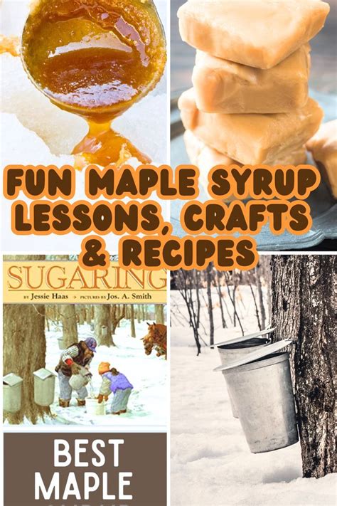 58 Maple Syrup Unit Study Ideas Learn About Maple Syrup Sugaring For