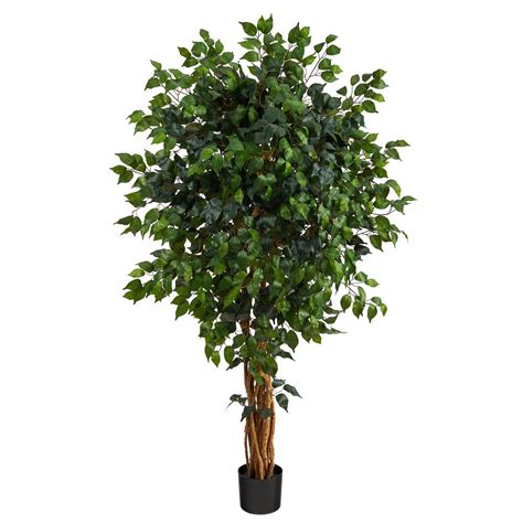 55ft Potted Ficus Tree Michaels