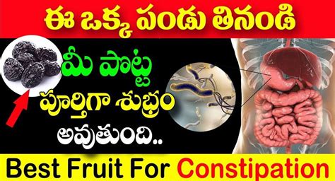 Fruit ఈ ఒక్క పండు తినండి మీ పొట్ట పూర్తిగా శుభ్రం అవుతుంది