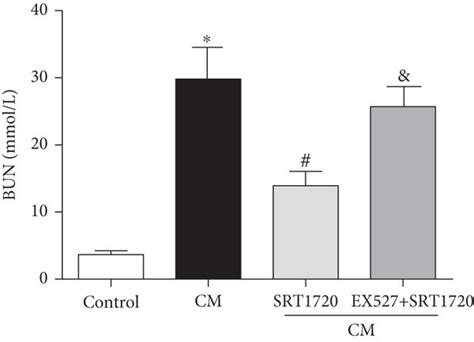 Activation Of SIRT1 Alleviates CIN CIN Was Induced By The Intravenous