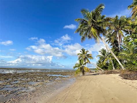 Coisas Para Fazer Na Ilha De Boipeba Bahia Dicas De Uma Local