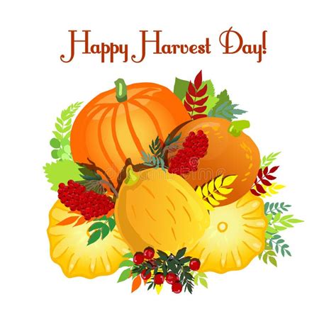 Happy Harvest Day Collection Of Pumpkins And Berries Vector