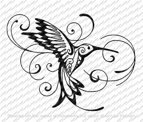 Hummingbird Tattoo Black And White Outline