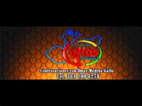 La Negra Merecumbe Banda Los Gallos De Jalisco YouTube