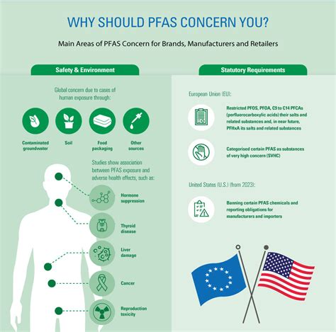 Everything You Need To Know About Pfas T V S D