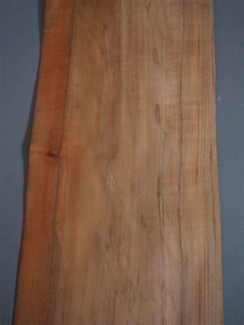 Tasmanian Myrtle Timber Veneer 50 Australian Premier Veneers