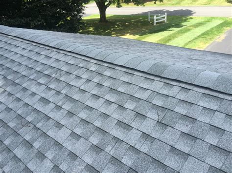 How To Clean Algae And Moss Off Asphalt Shingles West Inspect