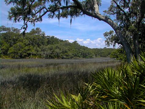 Nature Centers in Florida | Parks with Nature Centers | Florida Hikes