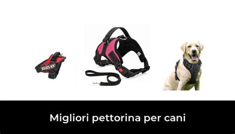 Migliori Pettorina Per Cani Nel Recensioni Opinioni Prezzi