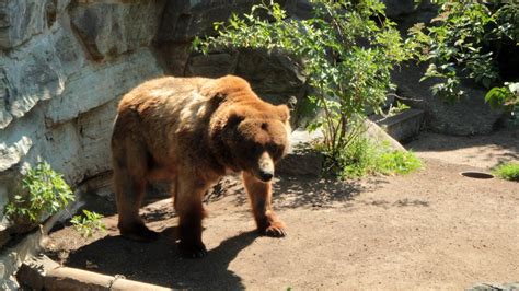 Kölner Zoo