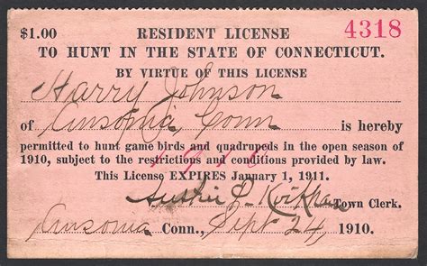 Connecticut Resident License To Hunt Waterfowl Stamps And More