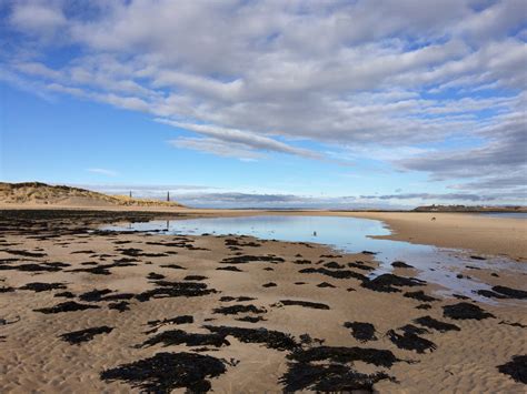 North Northumberland Coastal Plain Archives Honey Nuc