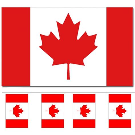 Landen Vlaggen Versiering Set Canada Vlag X Cm En