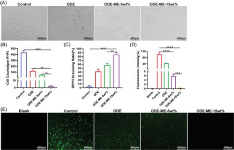 Mouse Mononuclear Macrophage Cell Line Raw Atcc Bioz