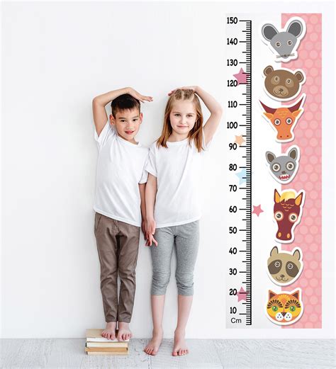 Buy Animals Multicolour Vinyl Height Chart at 15% OFF by Wens | Pepperfry