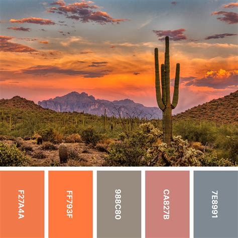 31 Sunset Color Palettes For Captivating Designs Color Meanings