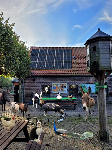 Crowdfunding Kinderboerderij Tanthof