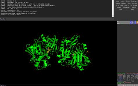 An Introduction To PyMOL Compchems