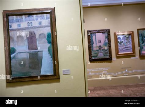 View Of The Exhibition Of Sorolla Traveling To Paint Another Vision