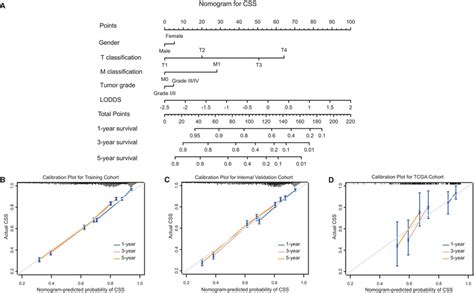 Nomogram For Css Of Bc Patients A Prediction For 1‐ 3‐ And 5‐year