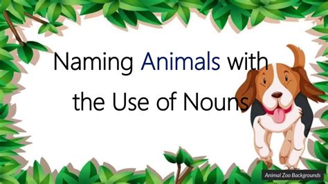 Naming Animals With The Use Of Nouns Ppt