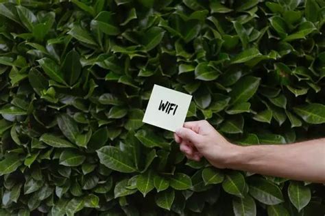 Cara Membuat Alat Penangkap Sinyal Wifi Jarak Jauh Untuk Hp