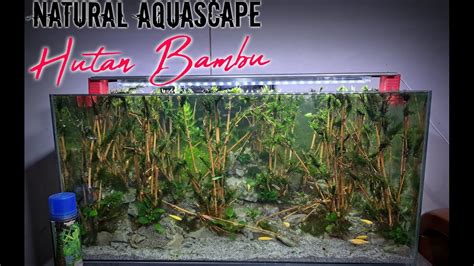 Membuat Aquascape Hutan Bambu Indonesian Style Step By Step Tanpa Co