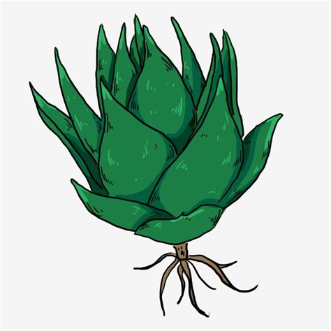 Green Plant Aloe Vera Green Plant Aloe PNG Transparent Clipart Image