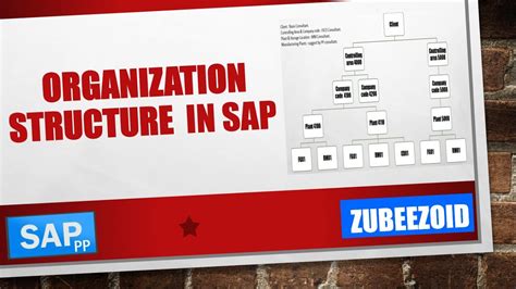 Organizational Structure In Sap Youtube