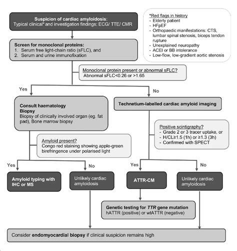 Diagnostic Algorithm For Cardiac Amyloidosis Based On Recent