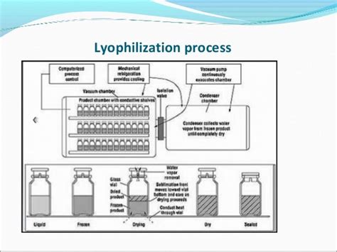 Lyophilization