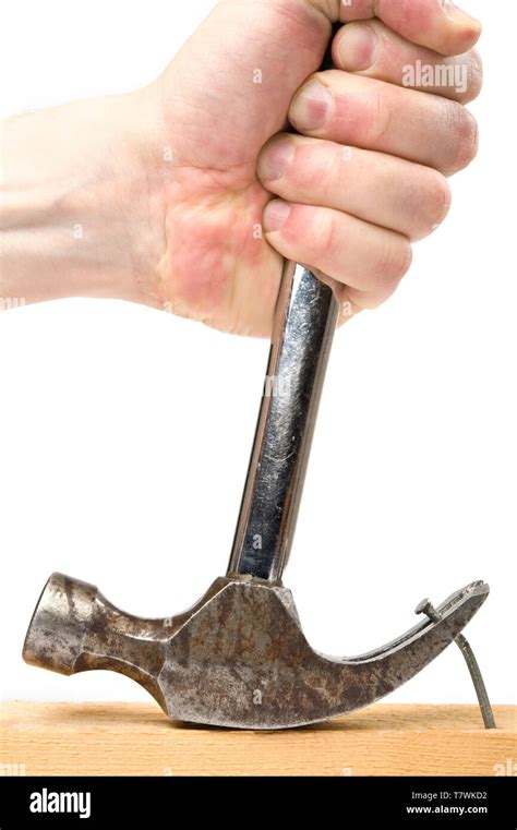 How To Drive A Nail With A Hammer At Gregory Beaumont Blog