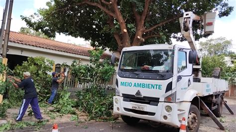 Poda E Corte De Rvores S O Realizadas Pela Secretaria De Meio Ambiente